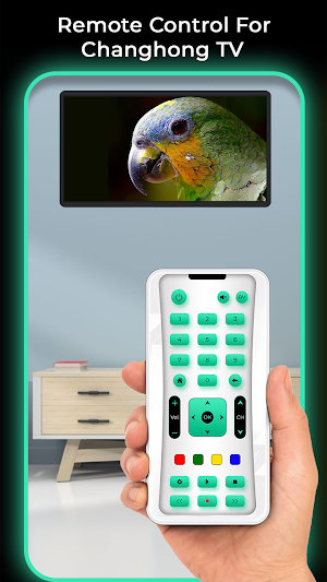Remote Control For Changhong TV Screenshot 1