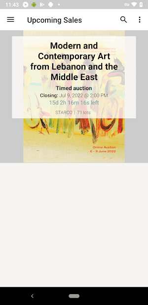 NB Auction Screenshot 0
