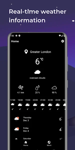 Monochrome Weather Screenshot 0