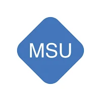 Mobile Security User
