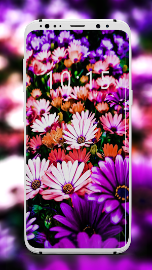 خلفيات ورود وزهور جميله 🌺🌼بدون نت Screenshot 2