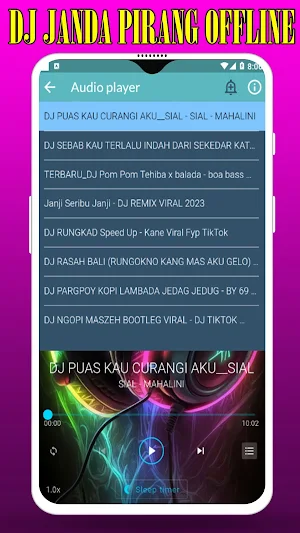 Dj Janda Pirang Offline Screenshot 3