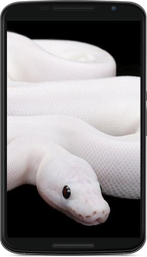 snake wallpaper Screenshot 3