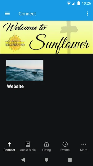 SunflowerBC Screenshot 0
