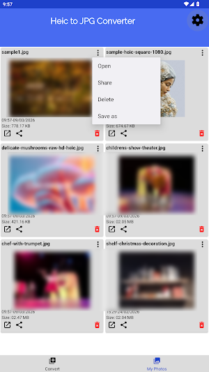HEIC to JPG Converter Screenshot 3