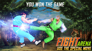 Real 3D Street Fighter Pro Screenshot 2
