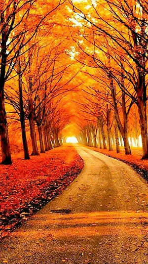 Fall Wallpaper 2023 Screenshot 2