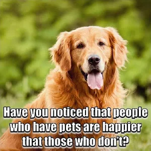 Animal Lover Quotes - Dog Lover Status - Cat Love Screenshot 1