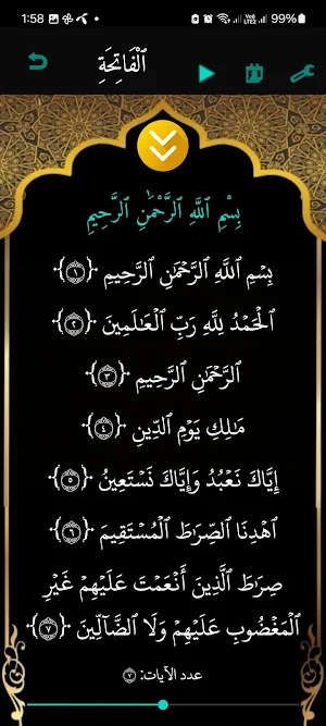 আল কুরআন অডিও:Quran Audio Screenshot 0