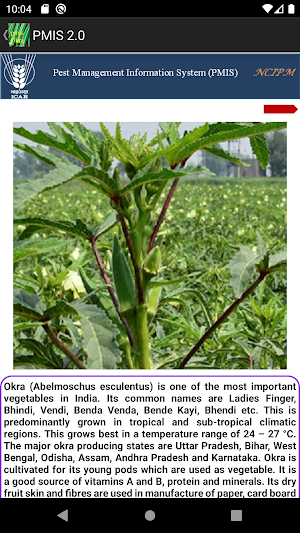 pmis-okra Screenshot 1