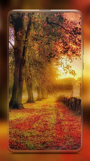 Autumn Wallpapers HD Screenshot 3