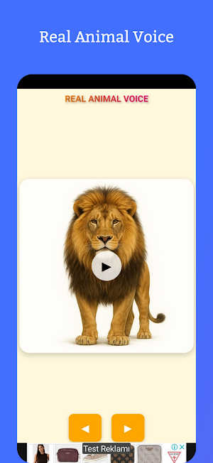 Real Animal Voice Offline Screenshot 0