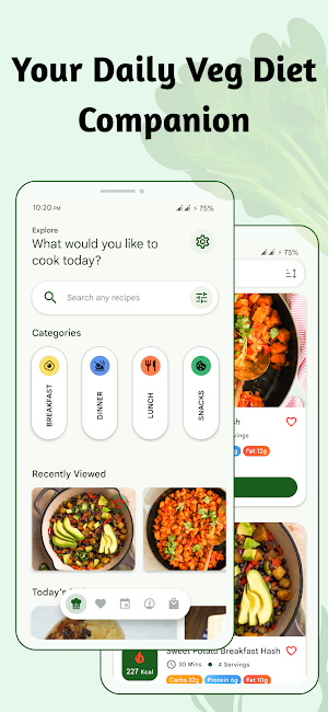 Vegetarian Weight Loss Recipes Screenshot 0