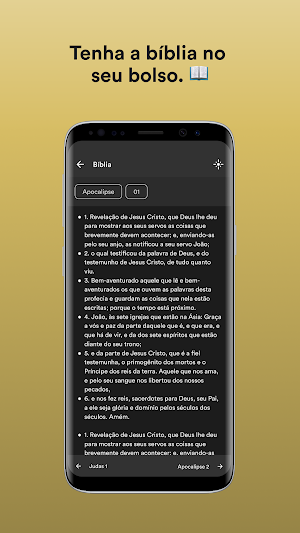 SIB Carangola Screenshot 2