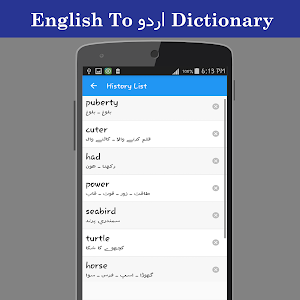 English To Urdu Dictionary Screenshot 3