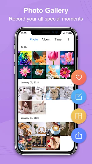 Photo Gallery, Picture Manager - Nuts Gallery Screenshot 0