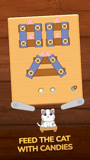 Screw Puzzle: Wood Nuts, Bolts Screenshot 1