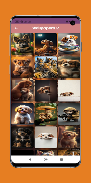 Animal Wallpapers Screenshot 2