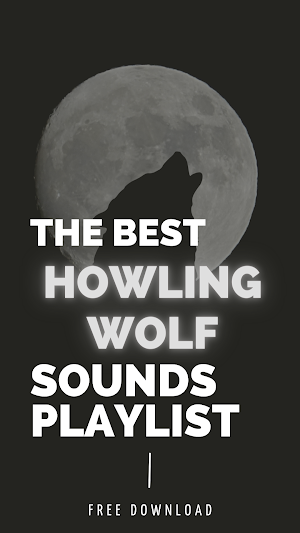 Howling wolf ringtones screenshot 2