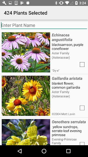 North Dakota Wildflowers Screenshot 2