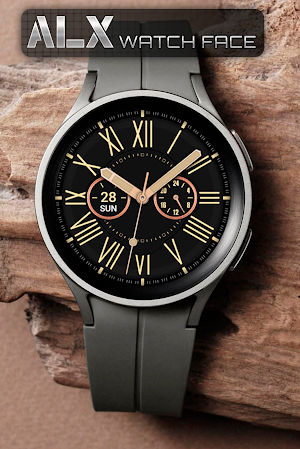 ALX21 Analog Watch Face Screenshot 1