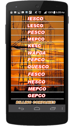 Wapda Bills Online Check Screenshot 2