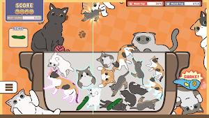 CatTrio Screenshot 3