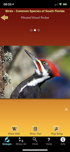 Birds of South Florida Screenshot 3