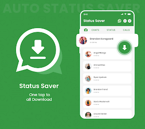 Save Status for WA Screenshot 0