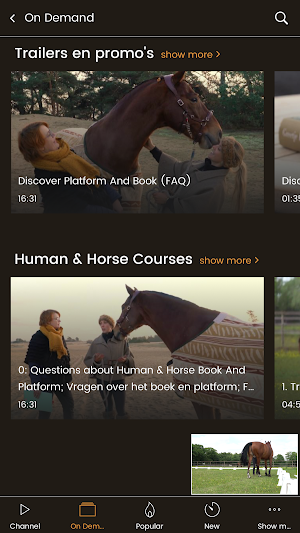 Human & Horse Academy Screenshot 2