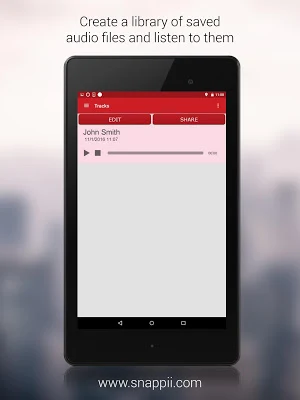 Voice Recording and Playback Screenshot 2
