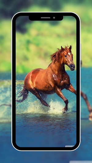Horse Wallpapers Screenshot 1