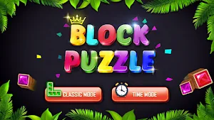 Block Puzzle 2021 Screenshot 0