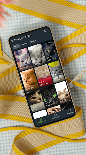 Cute Cat Wallpapers 2024 Screenshot 1