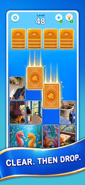 Jigsaw Drop Match Screenshot 3
