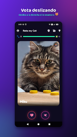 Rate My Cat Screenshot 0