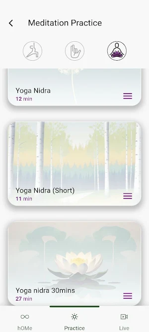 Ashtanga Yoga Home Screenshot 3