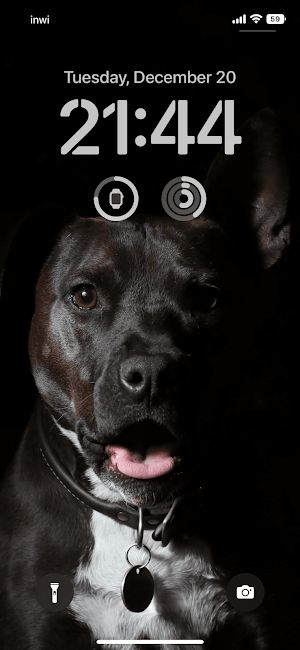 Dog wallpaper Screenshot 2