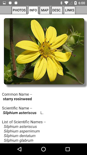 Alabama Wildflowers Screenshot 3