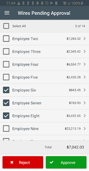 Tandem Treasury Management Screenshot 2