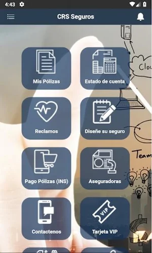CRS Seguros Screenshot 2