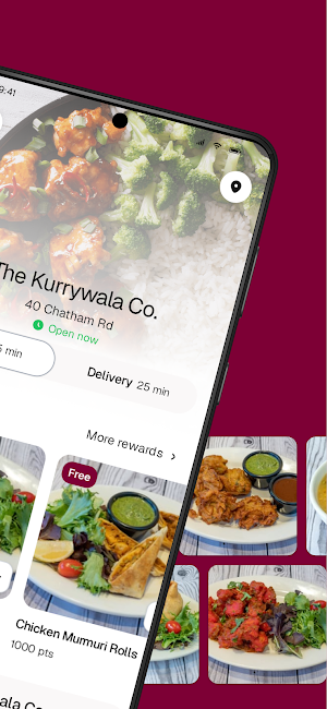 The Kurrywala Co. Screenshot 1