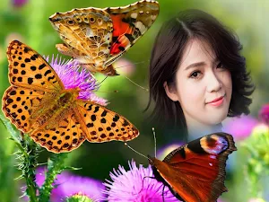 Butterfly Frame Collage Screenshot 0