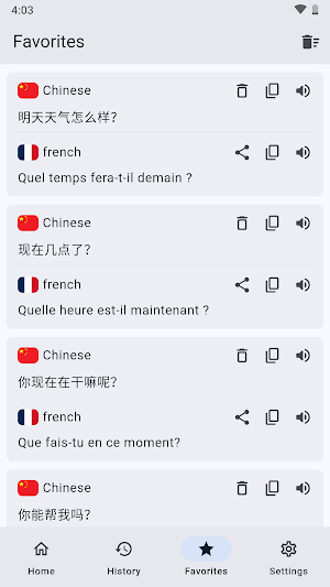 Chinese French Translator Screenshot 2
