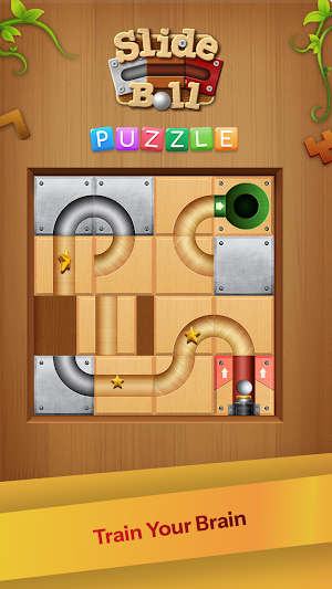 Slide The Ball Puzzle Game Screenshot 3