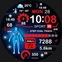 ML2U 245 Watch Face