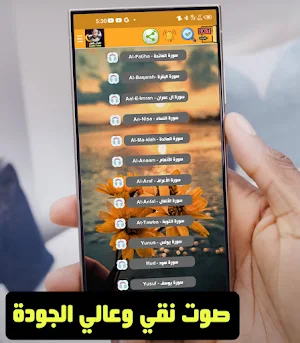 Muhammad Al-Faqih full Quraan Screenshot 1