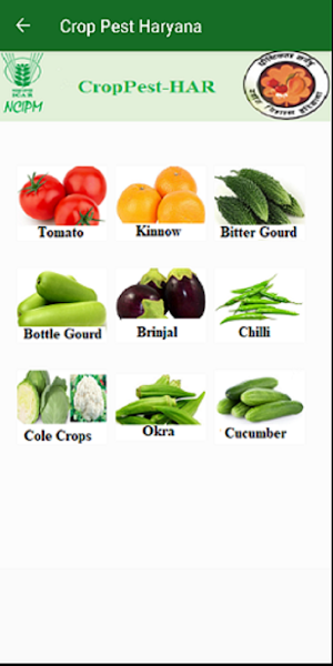 Crop Pest Haryana Screenshot 1
