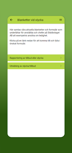 Städbolaget Screenshot 1