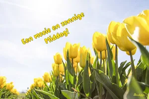 Goedemorgen Middag & Avond Screenshot 3